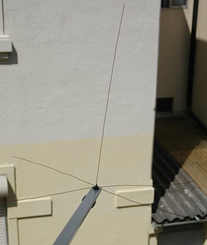 ant_01