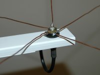 ant_02_small