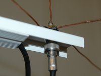 ant_03_small