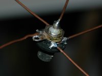 ant_04_small