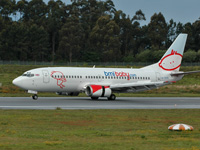 G-TOYK []